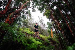 BIB: 
                            <button type="button" onclick="openModal(26202610)" class="btn btn-primary btn-sm float-right btn-popup" data-toggle="modal" data-target=".modal-high-quality">
                        <i class="fas fa-shopping-cart"></i> Add to Cart
                    </button>
                                            <button type="button" onclick="isThisMe(26202610, true)" class="btn btn-success btn-sm float-right btn-popup btn-isme hidden" data-toggle="tooltip" data-placement="bottom" title="นี่คือรูปของคุณใช่ไหม คลิกที่นี่เพื่อเอาเข้าอัลบั้ม">
                        <i class="fas fa-plus"></i> Add to album
                    </button>
                    <button type="button" onclick="isThisMe(26202610, false)" class="btn btn-warning btn-sm float-right btn-popup btn-isnotme hidden">
                        <i class="fas fa-ban"></i> Remove from album
                    </button>